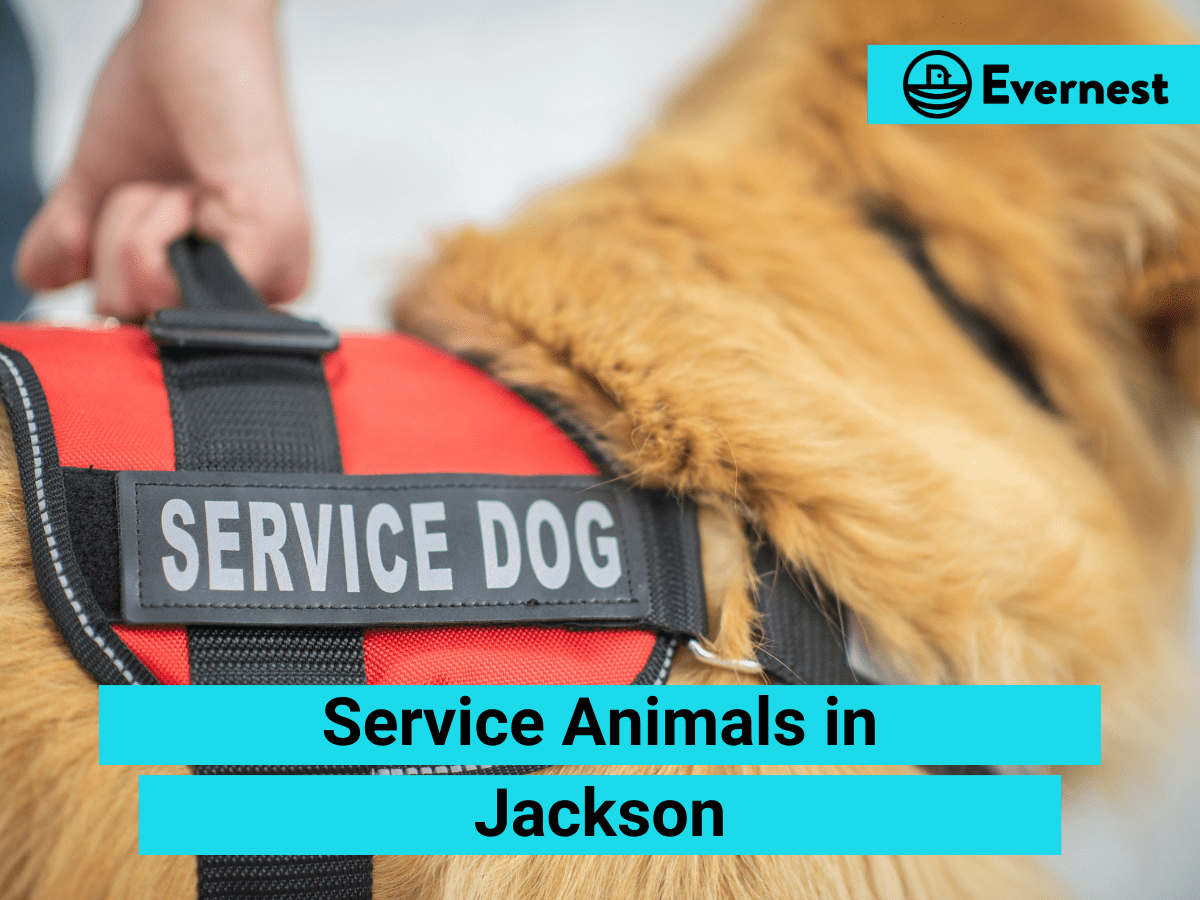 Service Animals: Everything Landlords Need to Know in Jackson, Mississippi